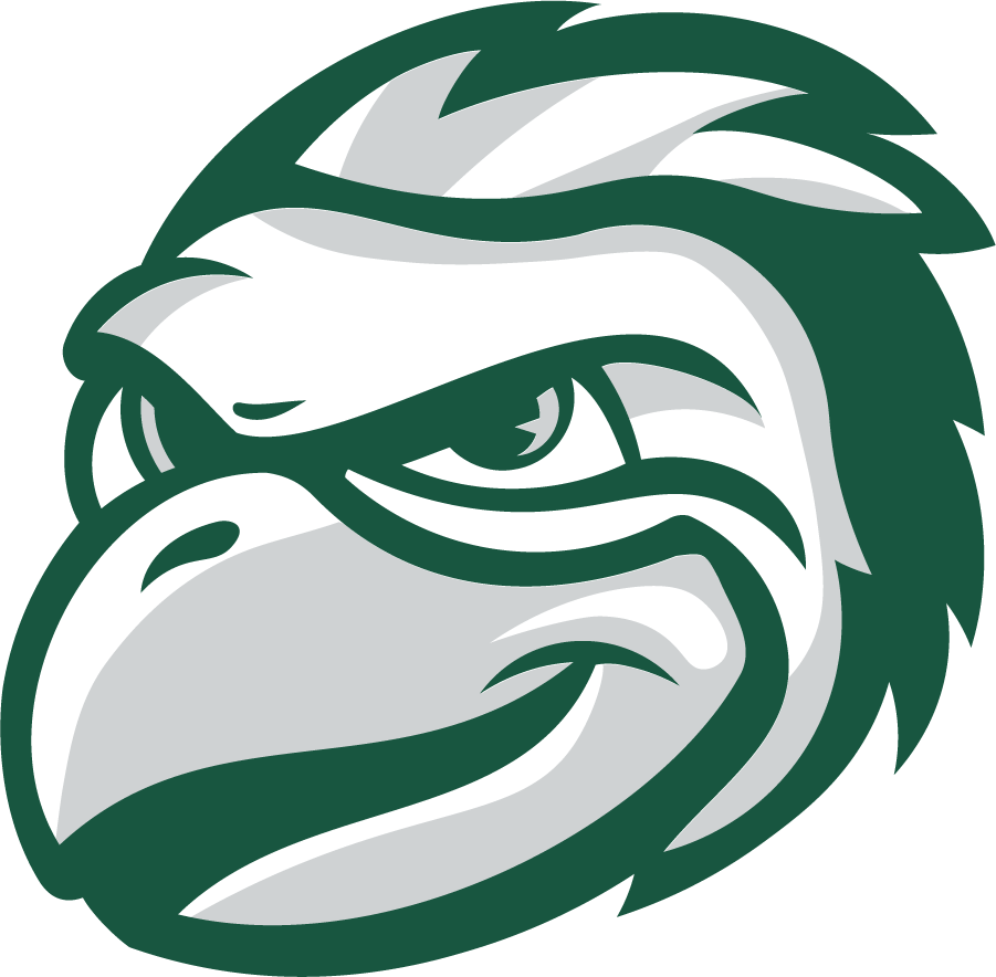 Wisconsin-Green Bay Phoenix 2020-Pres Mascot Logo v2 iron on transfers for clothing